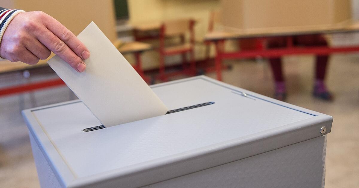 State election in Baden-Württemberg: 21 parties are allowed to run