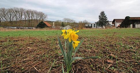 Ehemaliges G&auml;rtnerei-Areal in Krautheim mit Jagsttalbahn-Trasse soll bebaut werden. Rewe und Rossmann haben Interesse.