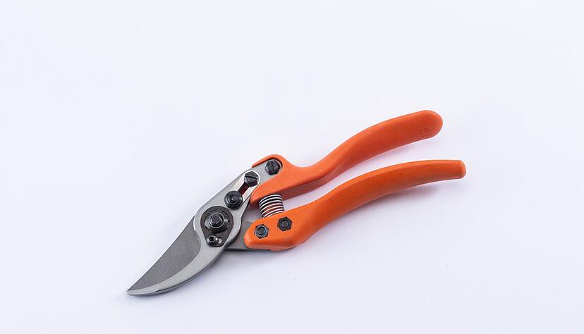 Eine der beiden Spitzenpositionen im Test belegt das Modell &laquo;11.107&raquo; von L&ouml;we (58 Euro).