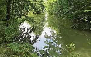 Am Jägersee gibt es zahlreiche Tier- und Pflanzenarten.