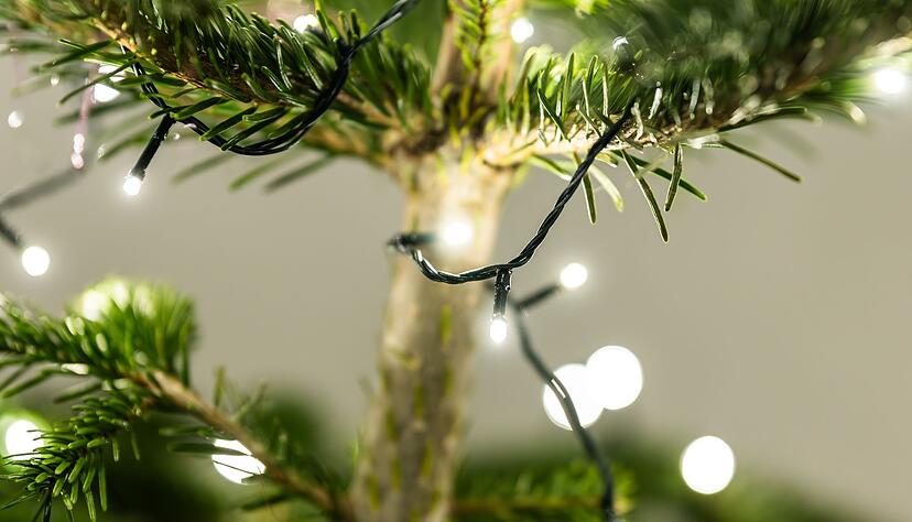 Von einer Kerze griffen die Flammen auf den Christbaum über. (Symbolbild) Von einer Kerze griffen die Flammen auf den Christbaum über. (Symbolbild)