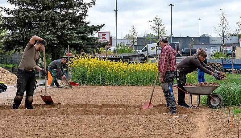 Ob bräunlich oder weiß: Daniela Buyer hat für jeden Geschmack das passende Ei. Übrigens: Die Farbe der Schale ist für den Geschmack unerheblich. Ob bräunlich oder weiß: Daniela Buyer hat für jeden Geschmack das passende Ei. Übrigens: Die Farbe der Schale ist für den Geschmack unerheblich.