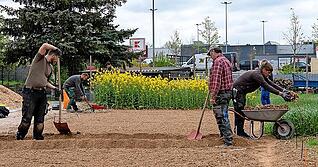 Mythen rund ums Osterei Mythen rund ums Osterei