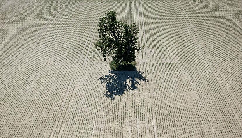 Die Felder sind in Deutschland schon trocken.